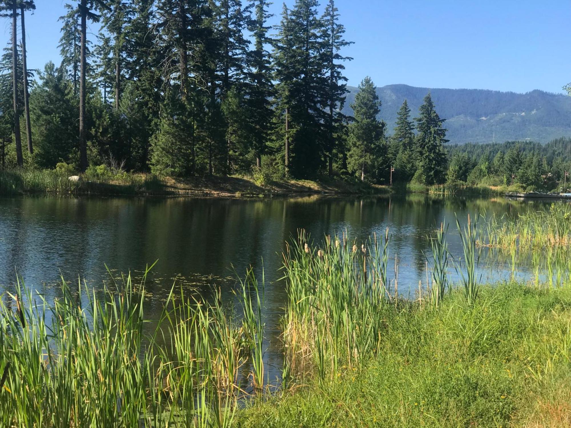 The Best Luxury River View Full Apartment Lodge Unit - 5049 Cle Elum Exterior foto